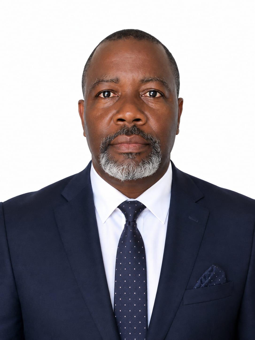 Prince Sir Emmanuel Emeka Onyenankeya